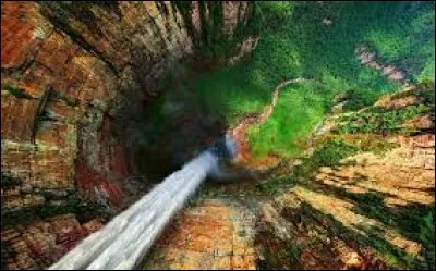 Corrigez les erreurs : L'idiome de ces crieurs --- est tel, qu'il faut en faire une étude pour bien --- ce qu'il ---.