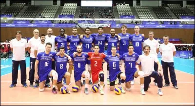 En 2015, la France remporte les Championnats d'Europe, quel joueur n'a pas remporté de distinction individuelle ?