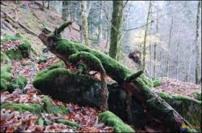 Au-dessus du niveau de la mer, dominent deux grandes chaînes principales :