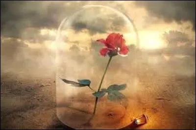 D'innombrables menaces sont microscopiques. Mais un drame en 5 actes va se jouer. Qui sont les défenseurs de l'organisme face à une attaque ?