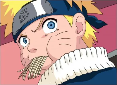 Quel plat Naruto préfère-t-il ? (Naruto)