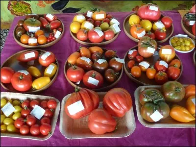 Combien de variétés de tomates différentes avons-nous au jardin ?