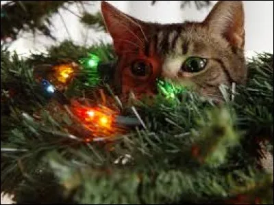 La jambe d'une armure est composée de quatre parties. Lesquelles ?