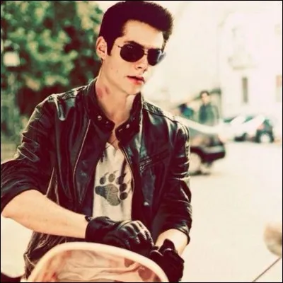 Quel métier veut faire Stiles ?