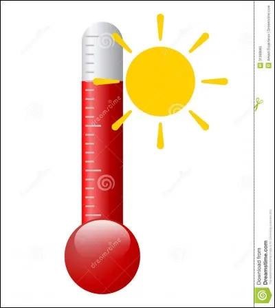 Phénomène météorologique de températures de l'air anormalement fortes. Trouvez le mot !