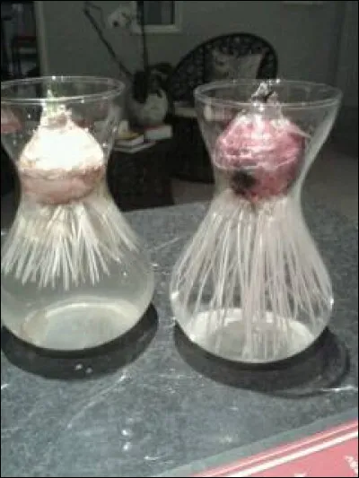 Citez un produit ne faisant pas partie de la gamme de Natura4ever.