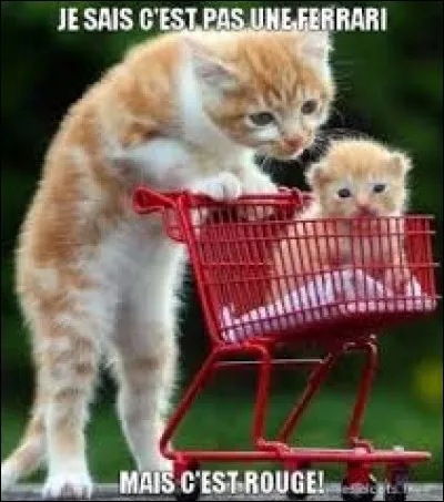 De quel pays la Ferrari vient-elle ?