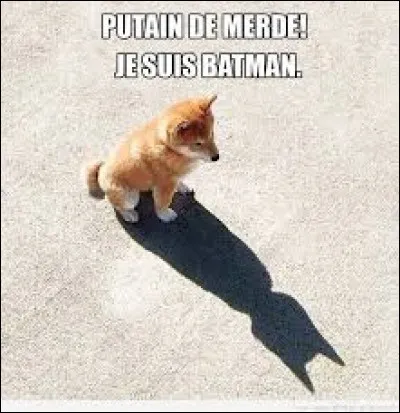 Comment s'appelle la voiture de Batman ?