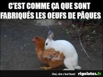 Que commémore Pâques ?