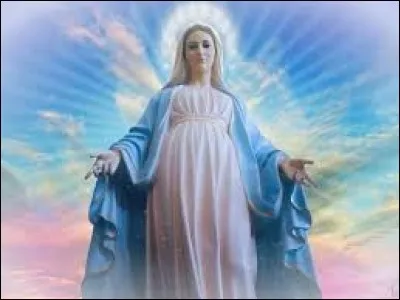 On ne dit pas "Immaculé", mais :