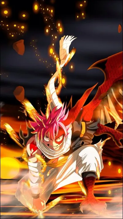 Quel sort Natsu n'a-t-il jamais utilisé parmi les suivants ?