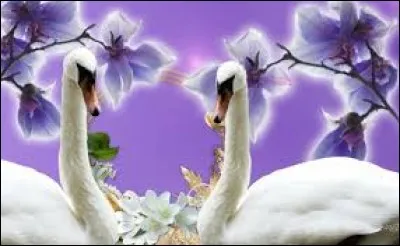 Cela doit suggérer un opéra dont le personnage principal fut incarné par Anna Pavlova.