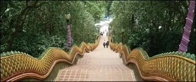Le « Wat Phra that Doï Suthep » est un temple bouddhiste de la province de Chiang Mai qui compte 300 marches. Dans quel pays se trouve-t-il ?