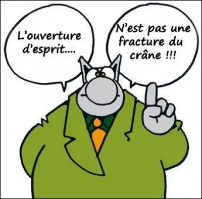 Si vous décidez de participer à ce quiz :