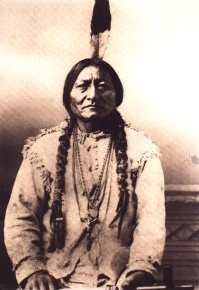 En quelle année s'est déroulée la bataille de Little Bighorn qui opposa le 7e régiment de la cavalerie de l'armée américaine de George A. Custer contre les hommes de Sitting Bull durant la guerre des Black Hills ?