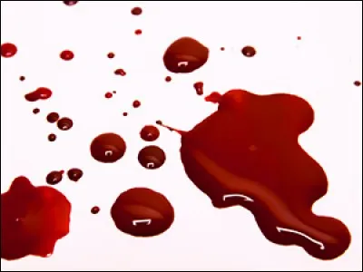 Quels globules transportent l'oxygène à travers notre organisme ?