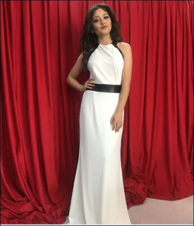 Quelle autre série a-t-elle faite ?