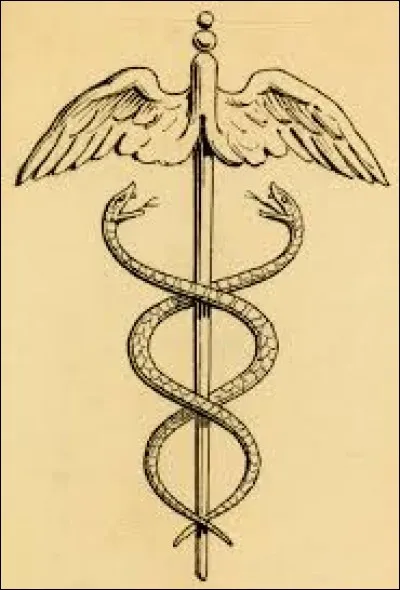 Comment s'appellent les deux serpents du caducée d'Hermès ?