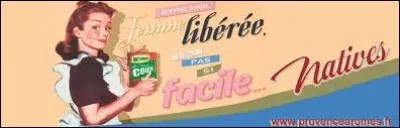 Quel chanteur interprète "Femme libérée" en 1984 ?