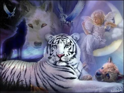 Quel est l'animal le plus dangereux pour les humains ?