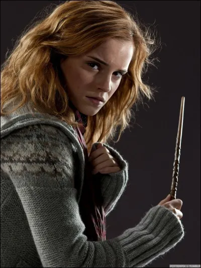 Quel est le nom de famille de Hermione ?