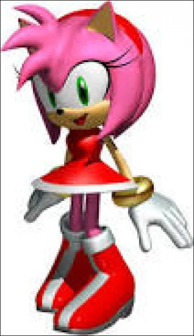 Cette jeune fille est folle amoureuse de Sonic même jusqu'à le suivre partout. Il s'agit de...