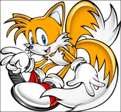 Ce passionné de mécanique, âgé seulement de 8 ans, est aussi le meilleur ami et le plus fidèle auprès de Sonic. C'est...