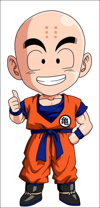 Combien de fois est mort Krillin dans tout « Dragon Ball » ? (sans DBGT)
