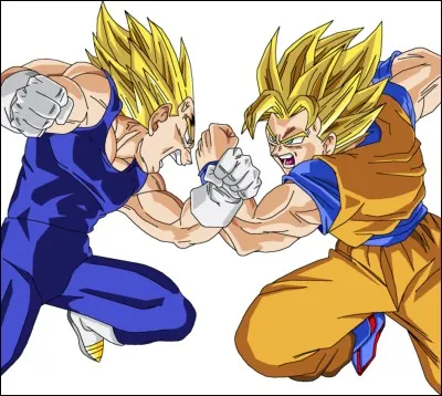 Goku vs Vegeta. Qui gagne ?