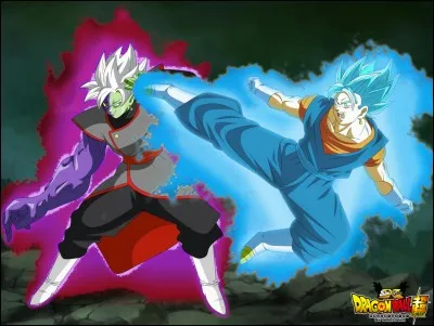 Le personnage le plus puissant est :