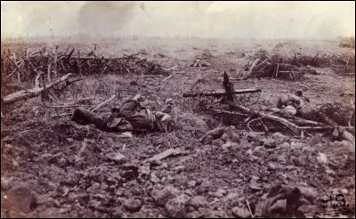 Quelle arme fut la plus meurtrière pendant la Première Guerre mondiale ?