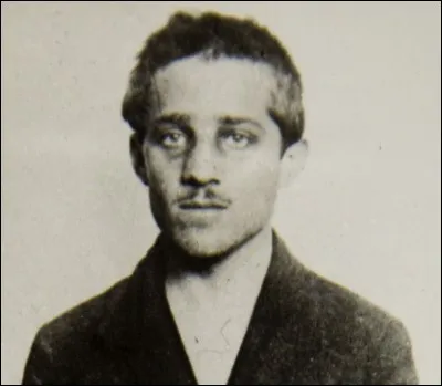 Qui était Gavrilo Princip, l'assassin de l'archiduc François Ferdinand d'Autriche ?