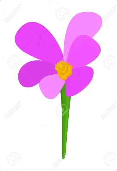 Quel est le 2e prénom de Roxanne ?