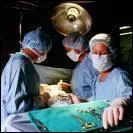 Sant. Que font ces trois personnes ?