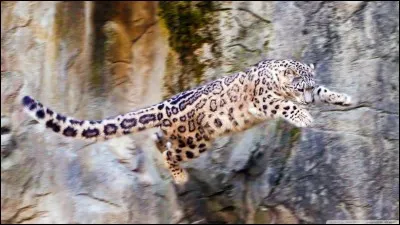 Que signifie recevoir le jour ?