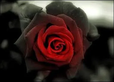 Histoire.
De la tutelle de quel État les îles Marshall sont-elles affranchies depuis 1986 ?