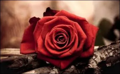 Code de la route et paronyme.
Tu stationnes sur ce passage clouté ! Tu risques la contravention parce que tu es en "faute par rapport à la loi".