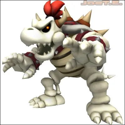 Quelles sont les trois formes de Bowser ?