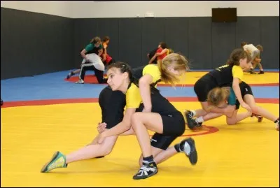 Au coll&egrave;ge, dans quelle mati&egrave;re peut-on pratiquer de la lutte ?