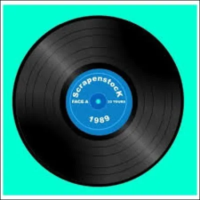 Quel est le diamètre d'un disque vinyle 33 tours ?