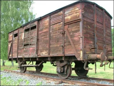 Quel dignitaire nazi a organisé la déportation en train des ''indésirables au IIIe Reich'' ?