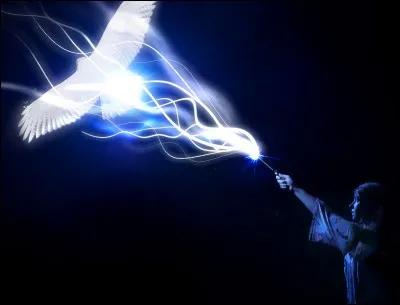 Quel est le Patronus de Harry ?