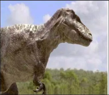 Quel est le nom de ce dinosaure ?