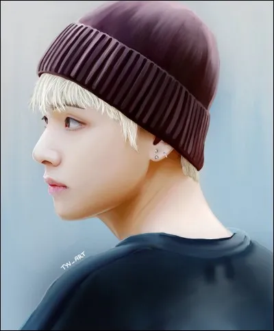 Quel est son poids ?