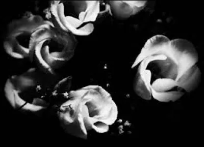 Des lunettes ont été faites avec de l'ivoire de morse et des nerfs de renne.
Quel est le genre du mot ivoire ?