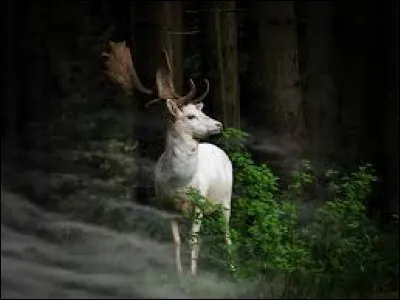 Si lors d'une crucifixion, les clous n'étaient pas plantés au niveau de la paume des mains comme il est souvent représenté sur les peintures, où l'étaient-ils ?