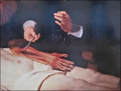 Quel auteur de BD revisite un tableau de Rembrandt de « La lecture des oracles » pour l'intégrer dans une planche de l'un de ses albums ?