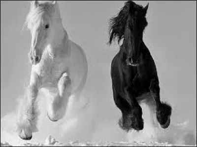 Ce sont des galettes sans levure, fourrées avec des pois écrasés. La pâte est réalisée avec de la farine de blé, de l'eau et du sel. Elle est étalée une première fois, fourrée de pois écrasés puis encore étalée, enfin cuite à la poêle dans un peu d'huile. 
Comment appelle-t-on ces fines galettes ?