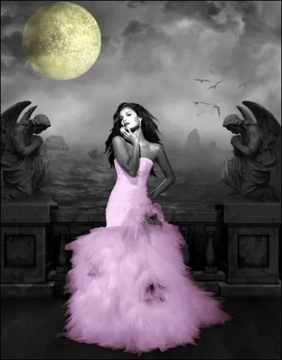 Qui chantait "J'ai connu quelques filles, parmi les plus belles, celles qui scintillent qui font des étincelles" ?