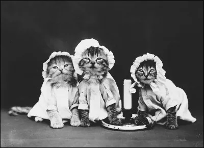 Se lever dès potron-minet !